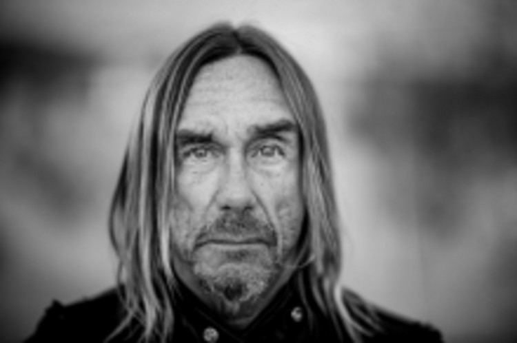 IGGY POP - FREE