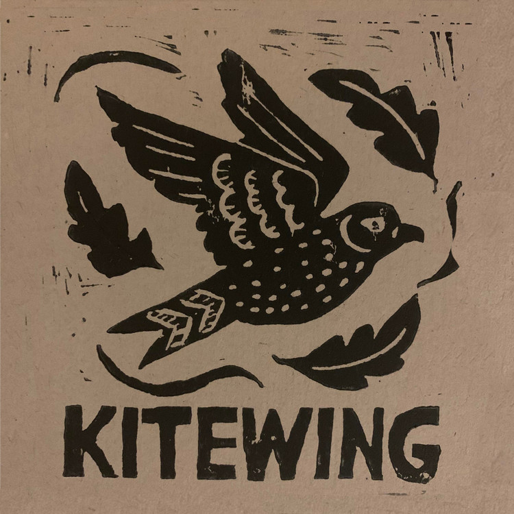 Kitewing