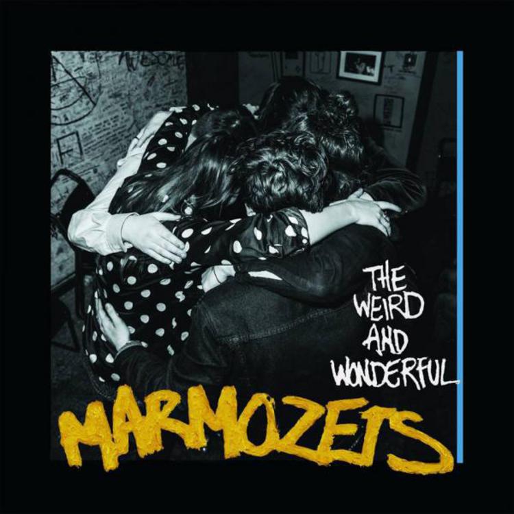 Marmozets// The Weird and Wonderful Marmozets