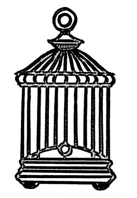 The Birdcage