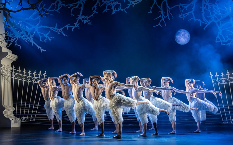 Matthew Bourne's Swan Lake - The Next Generation