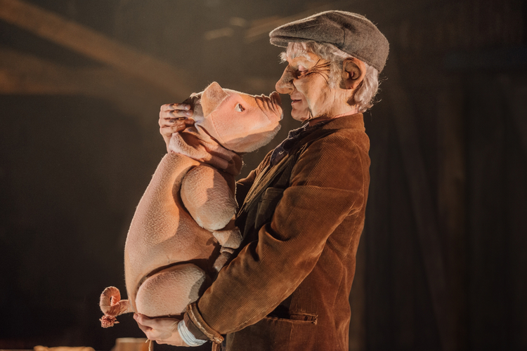 Babe, The Sheep-Pig